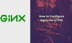 Featured image of post How to Configure Nginx for HTTPS